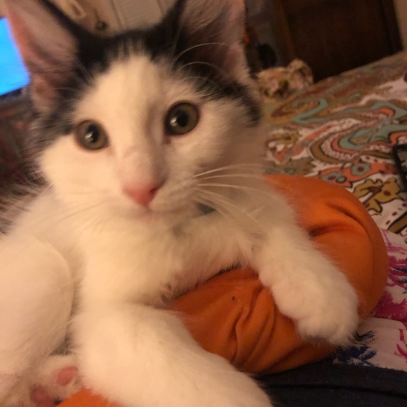 MAKE AN OFFER - Picture 1 of 1